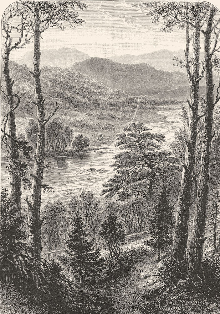 SCOTLAND. Central Highlands. view Ladies Walk, Grantown, Speyside c1886 print